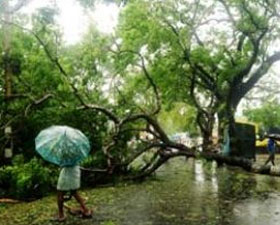 `থানে`র অভিঘাতে মৃত্যু বেড়ে ৪০, প্রভাবে কমছে তাপমাত্রা