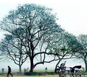শুক্রবার থেকেই রাজ্যজুড়ে শীতের আমেজ