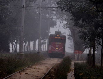 আসছে শীত