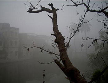থমকে গেল শীত