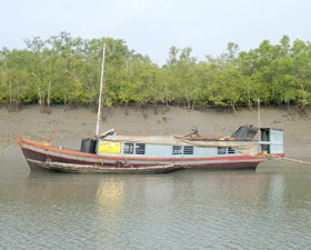 বোটমালিকরা ধর্মঘটে, বিঘ্নিত সুন্দরবনের নিরাপত্তা
