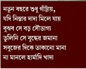 ব্যঙ্গ নববর্ষের শুভেচ্ছা বিনিময়েও