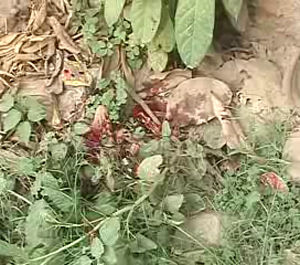 সুদীপ্তর মৃত্যুর ঘটনাস্থল পরিদর্শনে ফরেনসিক দল