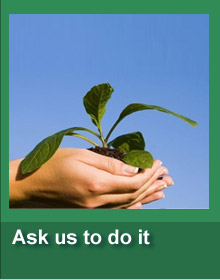 ask